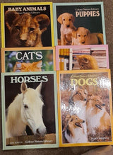 Colour Nature Library Boxset 6Book Kittens Dogs Horses Cats Puppies Baby Animals