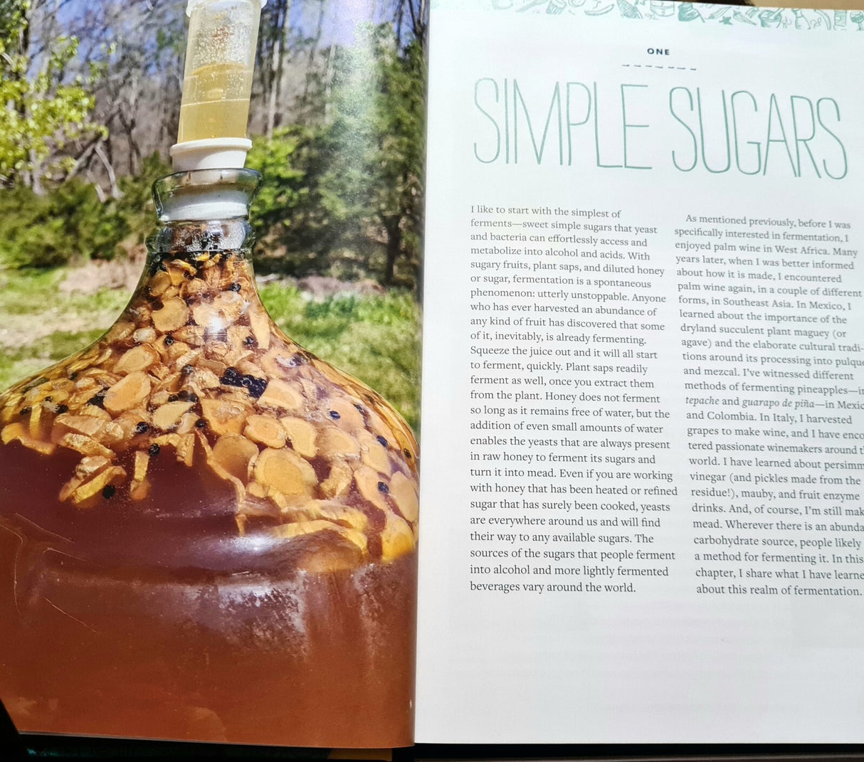 Sandor Katz's Fermentation Journeys Recipes, Techniques and Traditions Brand New