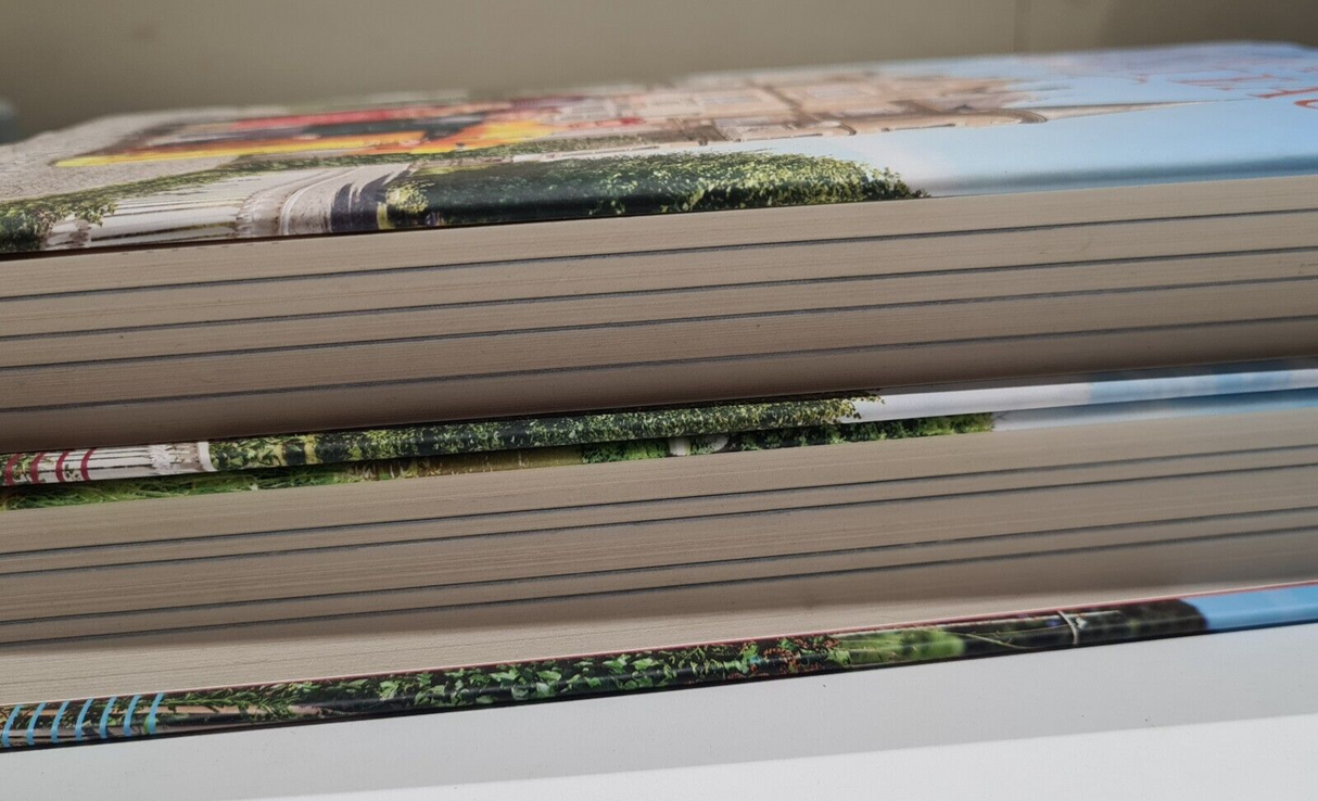 A Year at the Chateau and Living the Chateau Dream Hardback Pre-Owned