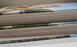 A Year at the Chateau and Living the Chateau Dream Hardback Pre-Owned