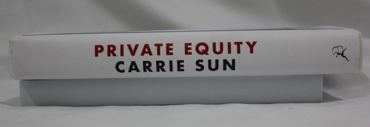Private Equity by Carrie Sun A New Hardback Book