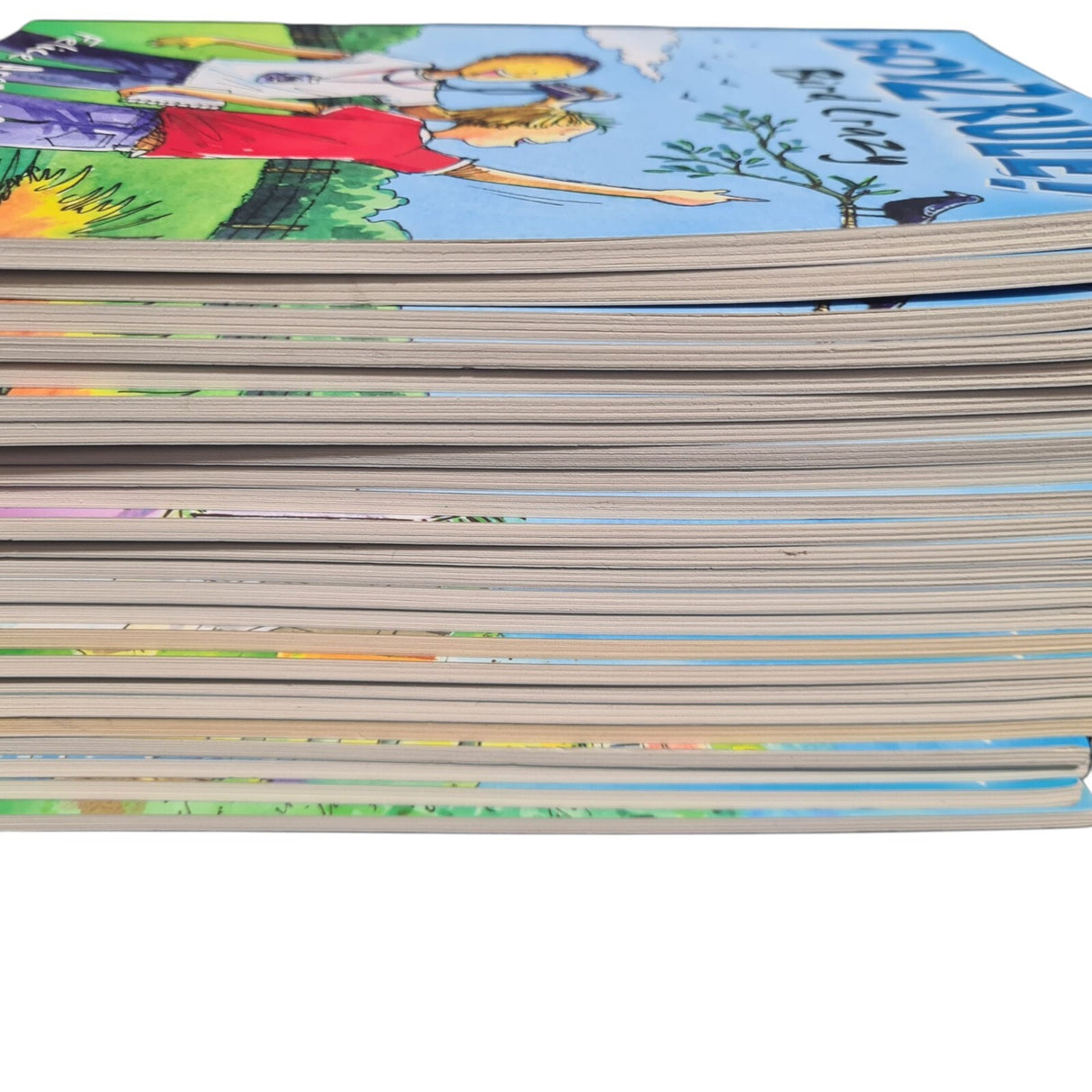 Boyz Rule! Big Book Bundle Some Duplicates See Photos - Pre-Owned