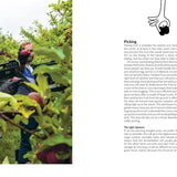 Cider Revolution!: Your DIY Gu by Sjostrom, Karl - NEW